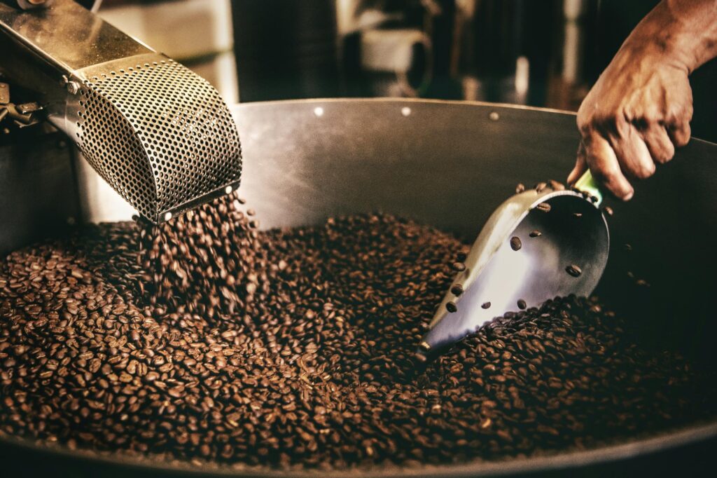 Exterior and Threshold Roasted coffee beans pour from a metal chute into a large industrial drum, filling the container with dark, textured grains. A person's hand uses a metal scoop to sift through the pile, likely inspecting or cooling the freshly roasted batch.