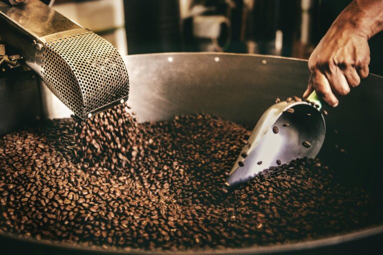 Roasted coffee beans pour from a metal chute into a large industrial drum, filling the container with dark, textured grains. A person's hand uses a metal scoop to sift through the pile, likely inspecting or cooling the freshly roasted batch.