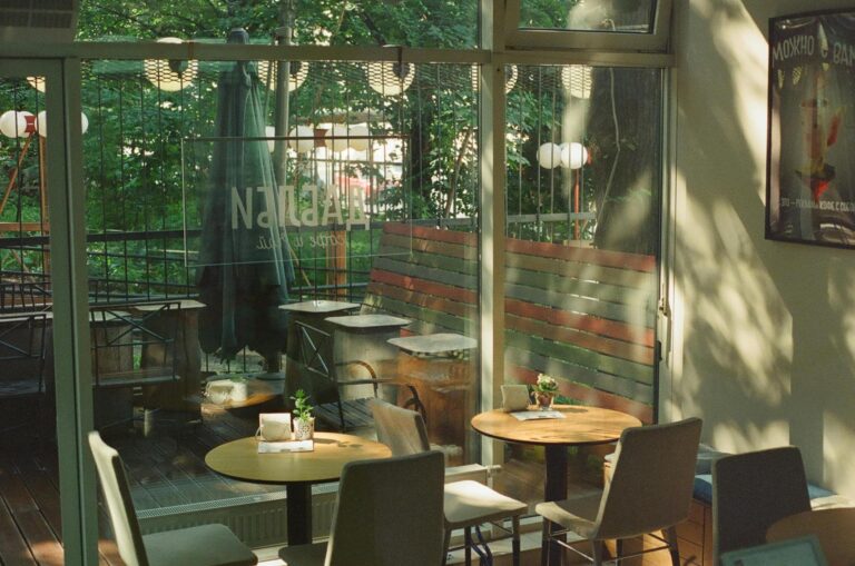 Sunlight streams through the large glass windows of a quiet café, casting dappled leafy shadows across the wooden tables and cushioned chairs. The view looks out onto a lush, green outdoor patio featuring a large folded umbrella and rustic fencing.