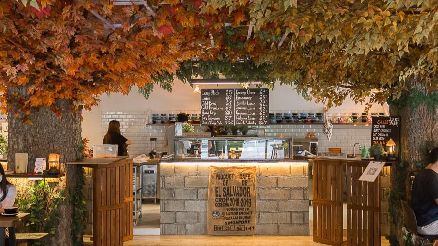 A cozy café interior features large artificial trees with autumn-colored leaves framing a rustic service counter. The menu board displays a variety of coffee drinks above a display case and a burlap sack labeled "Product of El Salvador.”
